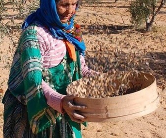 A farminfg lady from Tunisia